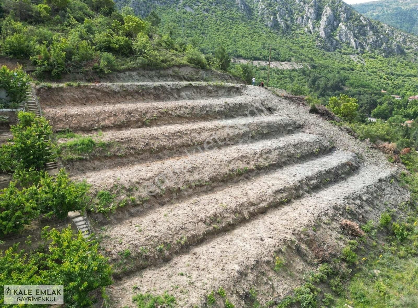 Amasya Merkez Yeşilyenice Satılık Bağ & Bahçe KALE EMLAK'TAN SATILIK YEŞİL YENİCE'DE SATILIK BAĞ