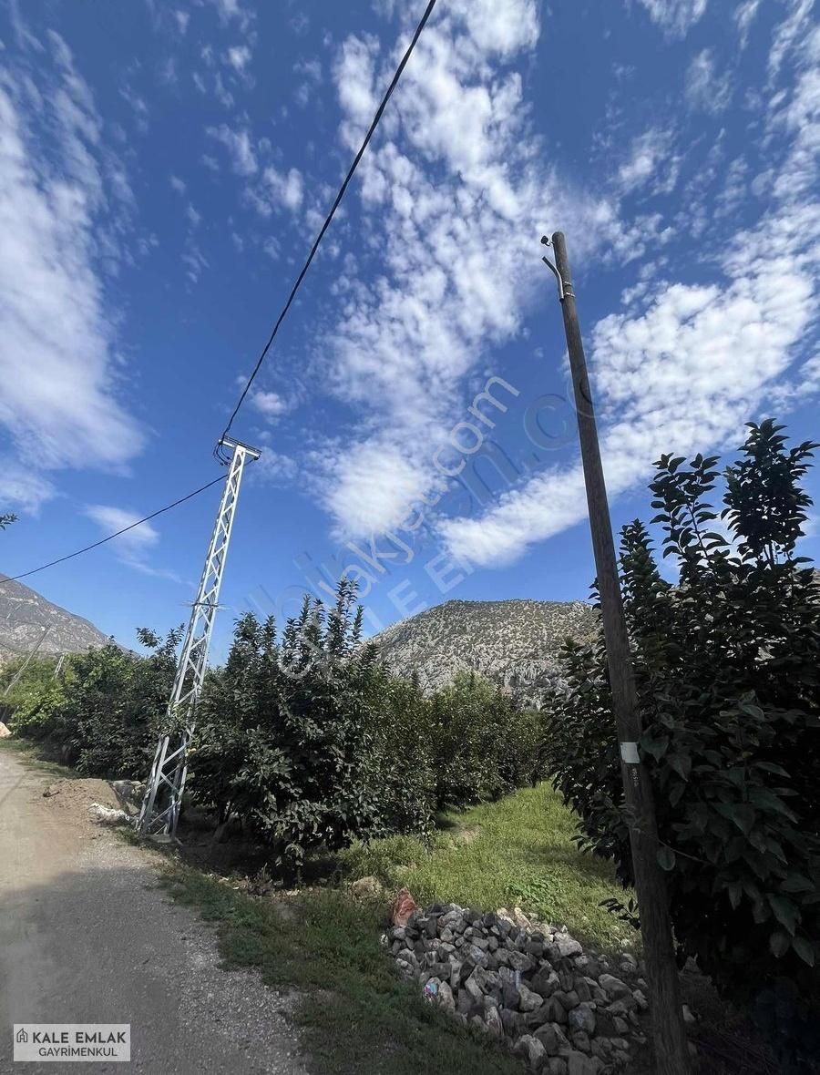 Amasya Merkez Ziyaret Bld. (Aşağı) Satılık Bağ & Bahçe KALE EMLAK'TAN ZİYERE'DE ÇOK ACİL SATILIK HOBİ BAHÇESİ 879 m2