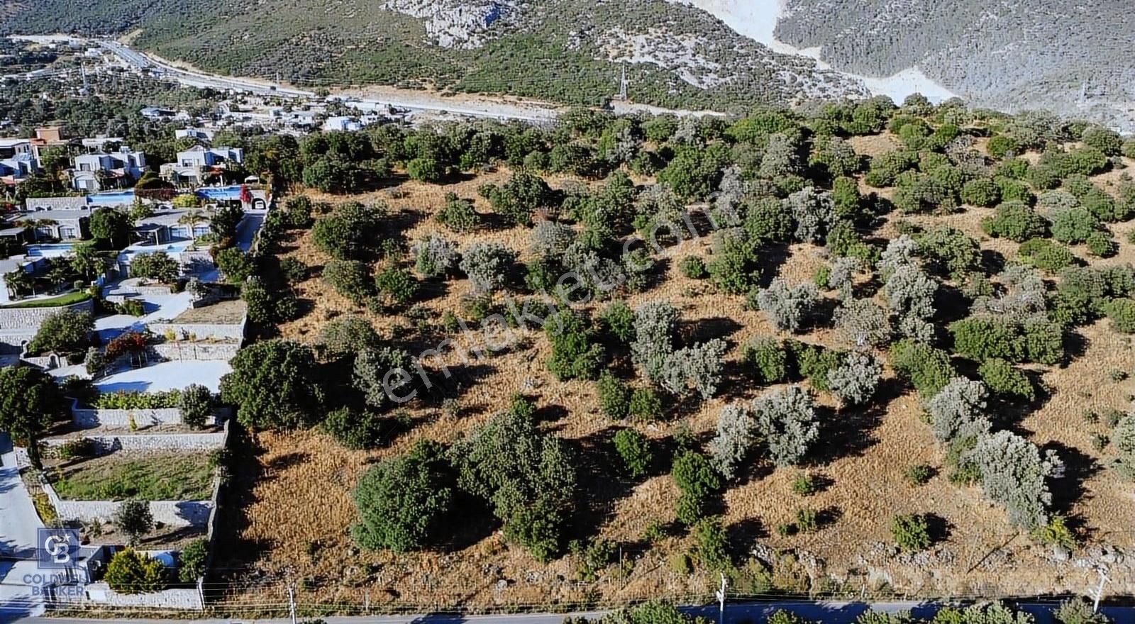 Bodrum Yakaköy Satılık Muhtelif Arsa Bodrum Ortakent Satılık 10 Dönüm Marjinal Tarım Arazisi