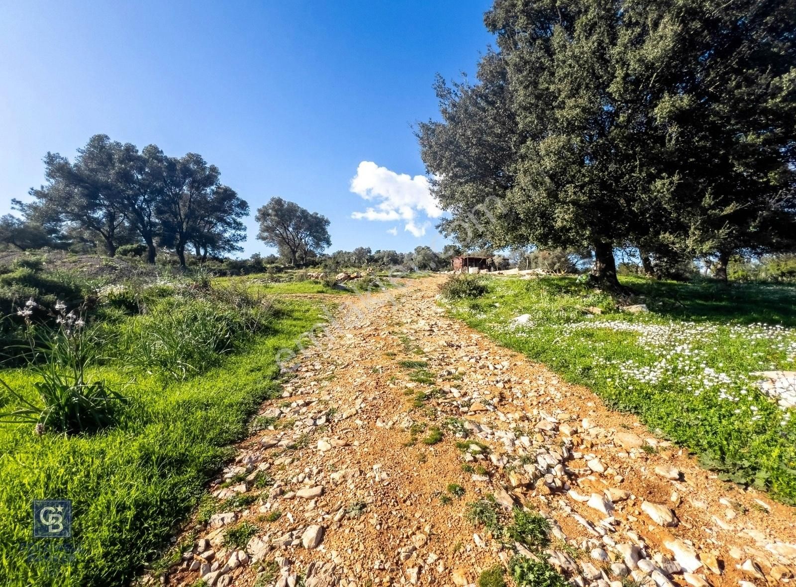 Bodrum Kızılağaç'ta Yaşam Bahçeleri - Görsel 15
