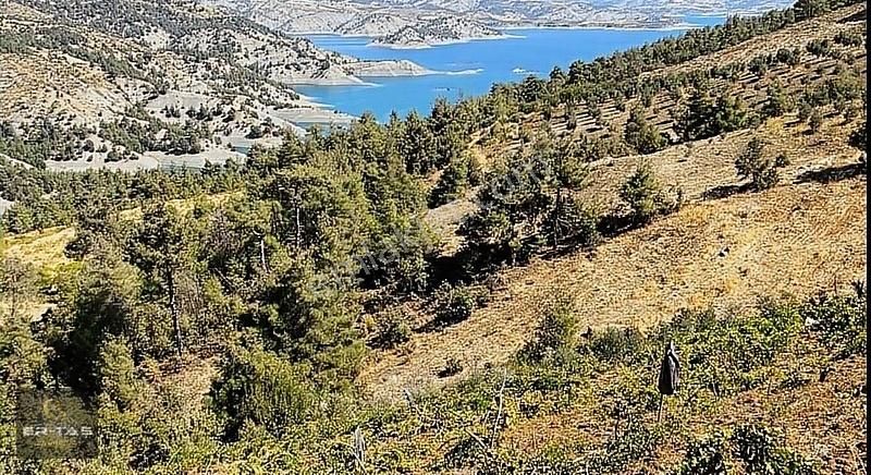 Onikişubat Bulutoğlu Satılık Bağ & Bahçe ER-TAŞ Gayrimenkulden Menzeletde Baraj Manzaralı Bağ