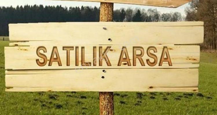 Armutlu Bayır Satılık Zeytinlik Armutlu Merkeze Yakın Köşe Parsel 690 M2 Satılık Zeytinlik