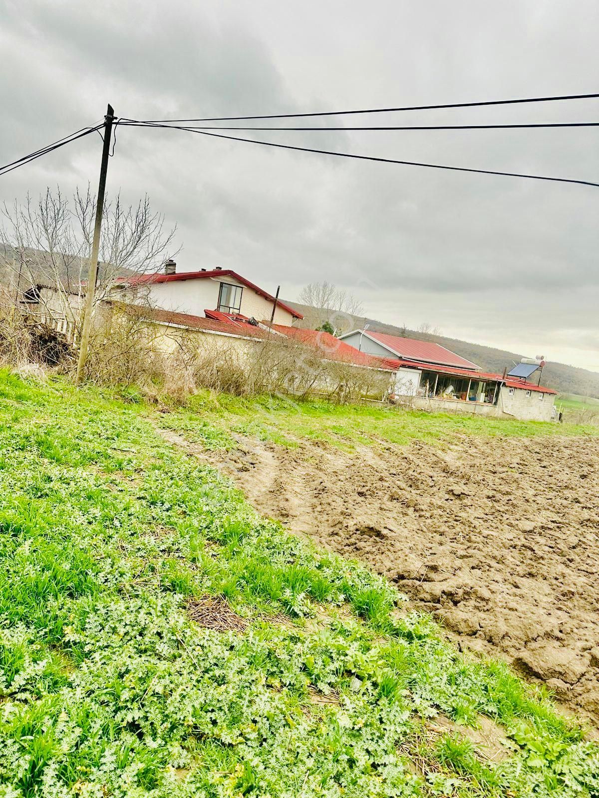 Süleymanpaşa Banarlı Satılık Konut İmarlı DOĞA HARİKASI SÜLEYMANPAŞA BANARLI KÖYÜ MÜSTAKİL İMARLI ARSA ELEKTRİK SU YOL MEVCUT