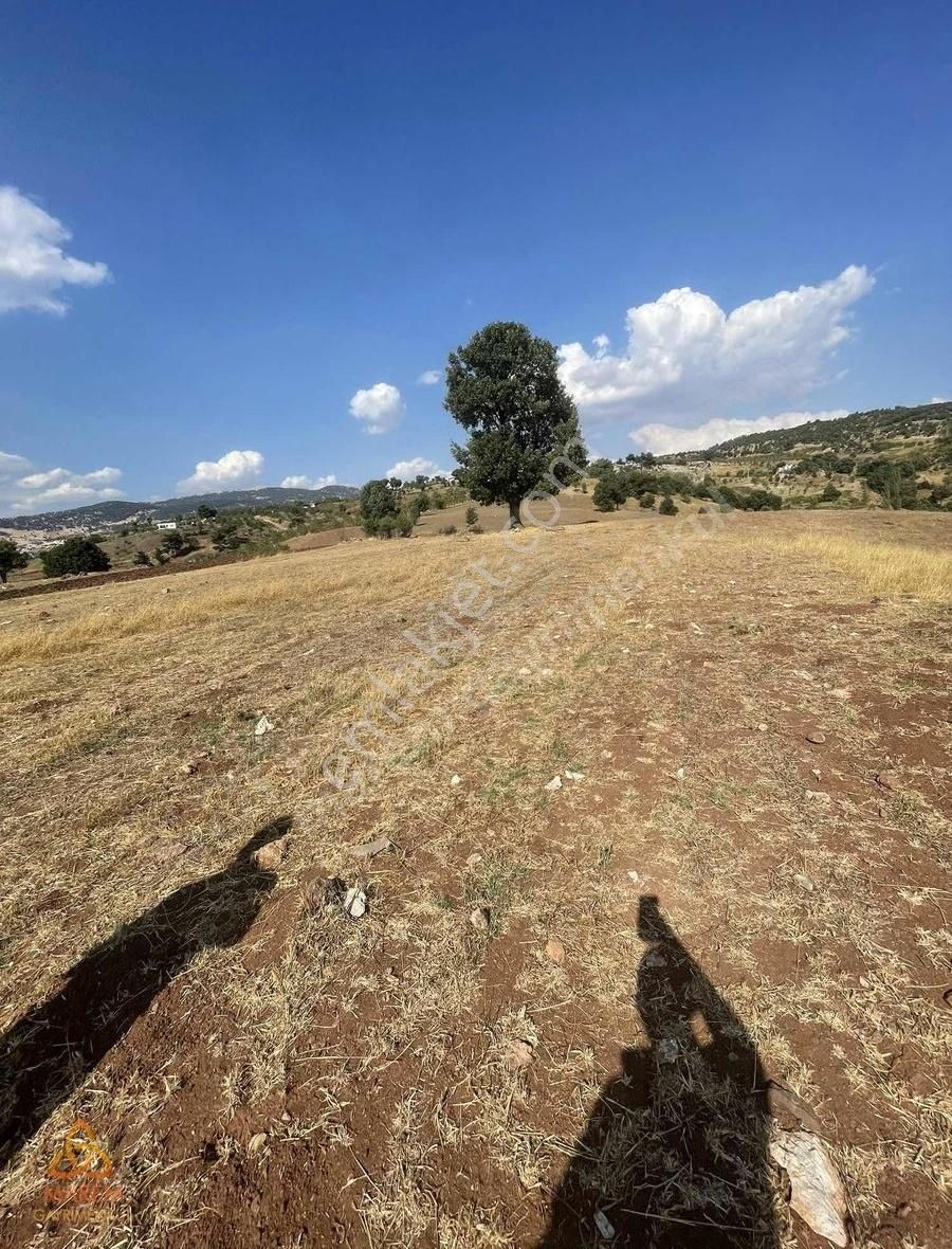 Dulkadiroğlu Kuzucak Satılık Tarla KUZUCAK TA ÇİFTLİK YAPIMINA UYGUN ARAZİ