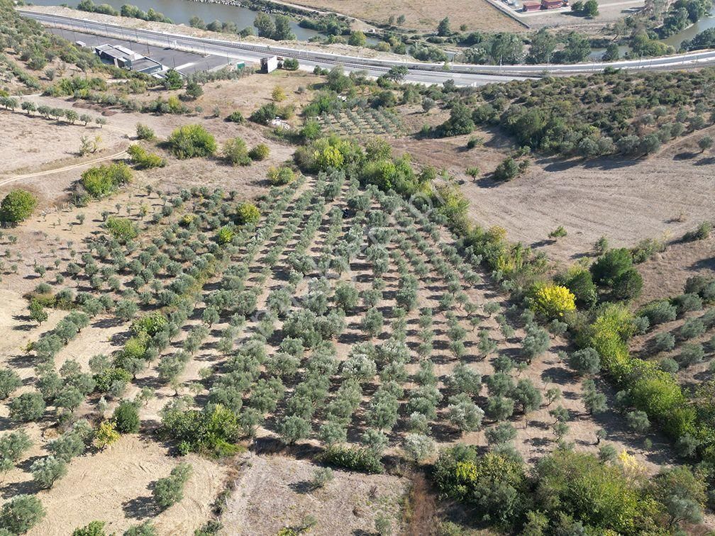 Geyve Alifuatpaşa Satılık Konut İmarlı  SAKARYA GEYVE DÜZAKÇAŞEHİR MAH 10089,05M2 SATILIK İMARLI ARSA