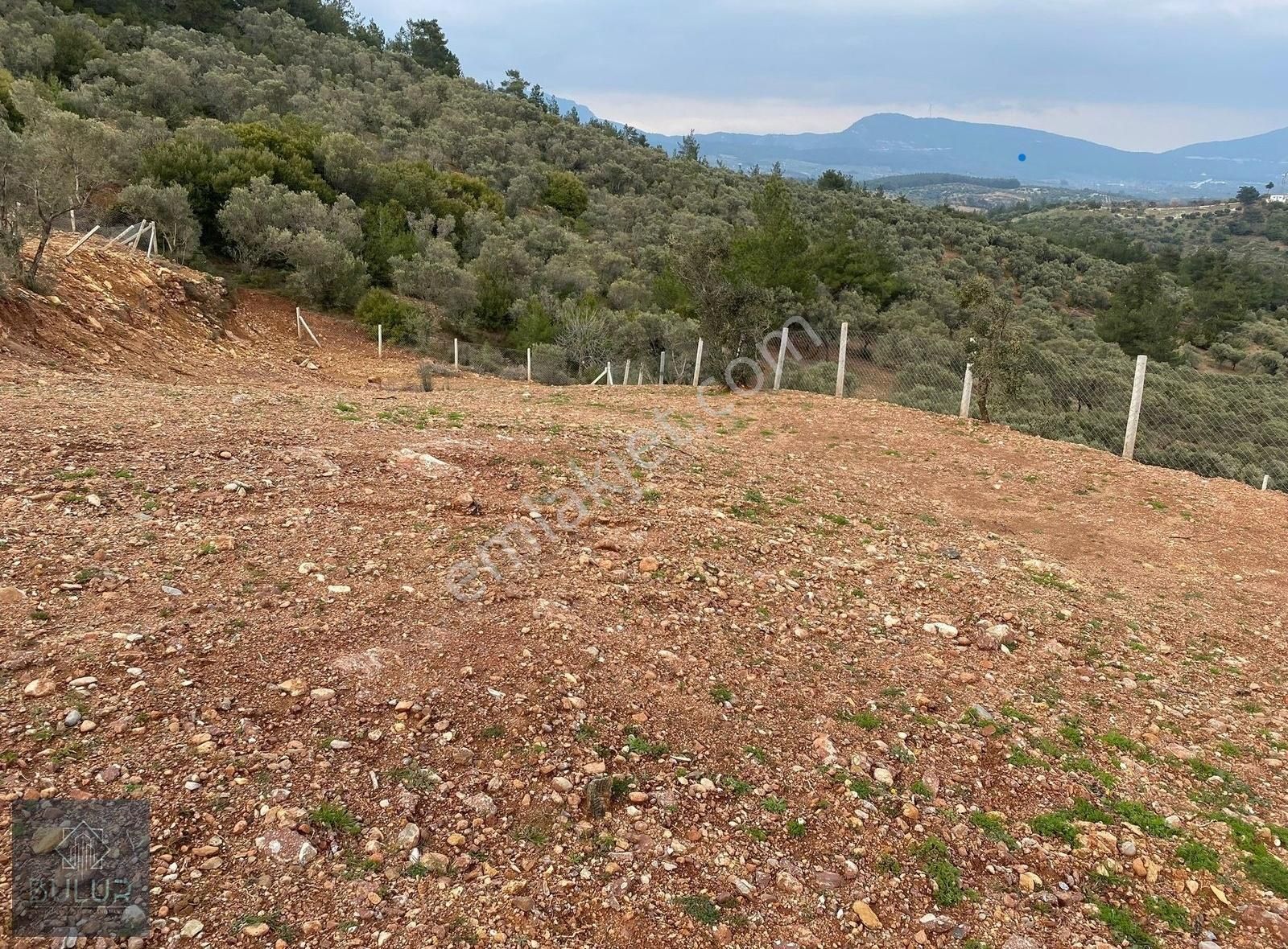 Torbalı Dağkızılca Satılık Zeytinlik BULUR dan Torbalı Dağkızılca da 1148 m2 Hisse Tapulu Zeytinlik