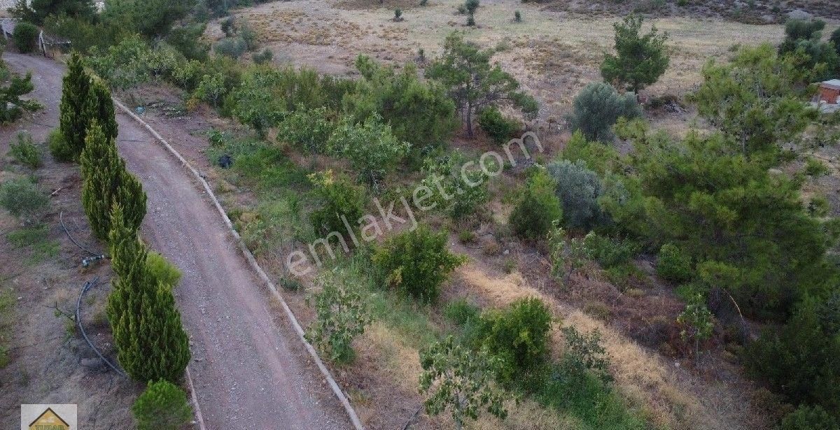 Menderes Yeniköy Satılık Bağ & Bahçe Menderes Yeniköy Bahçecik Mah Doğa İle Baş Başa Arazi