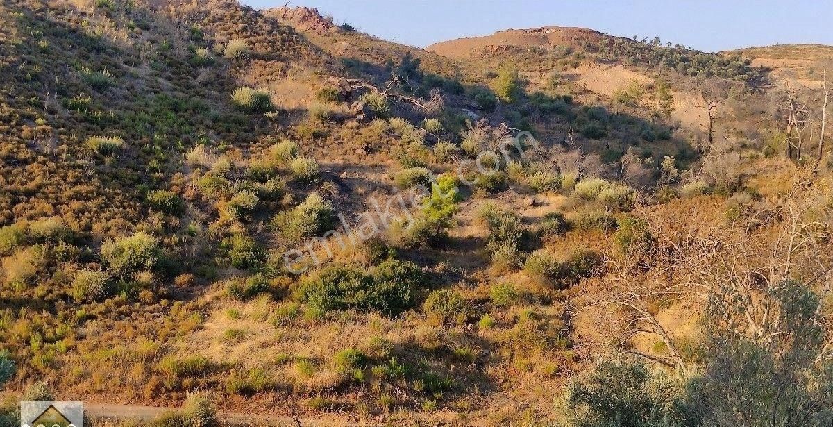 Menderes Çatalca Satılık Tarla Menderes Çatalca da manzarası muhteşem Arazi