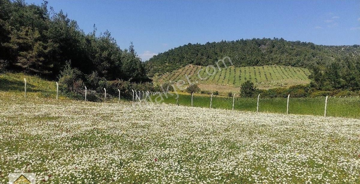 Menderes Çamönü Satılık Tarla Menderes Çamönünde DOĞA Harikası Arazi''TURAB