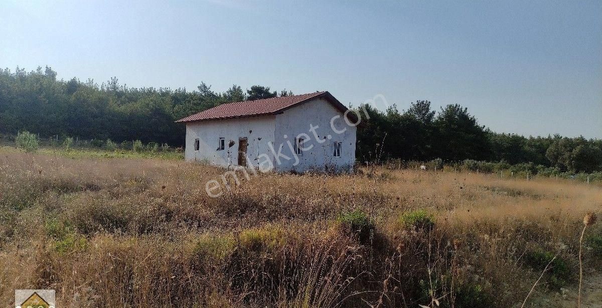 Menderes Yeniköy Satılık Bağ & Bahçe Menderes çatalca'da doğa harikası arazi.