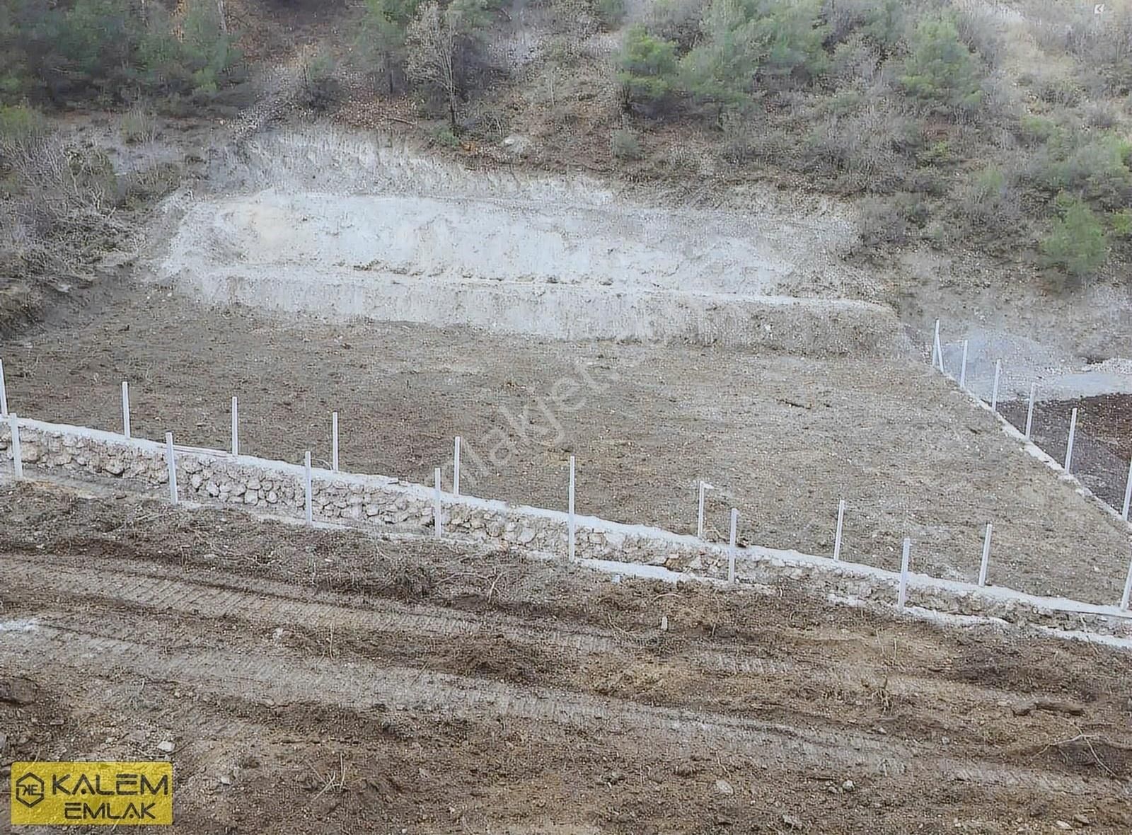 Amasya Merkez Yeşilyenice Satılık Bağ & Bahçe ACİL SATILIK KAÇIRILMAZ FIRSAT BAĞ BAHÇE