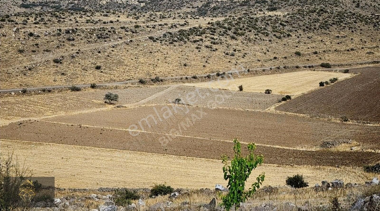 Hacılar Karpuzsekisi Satılık Tarla HACILAR KARPUZSEKİSİNDE TAKASA UYGUN TARLA