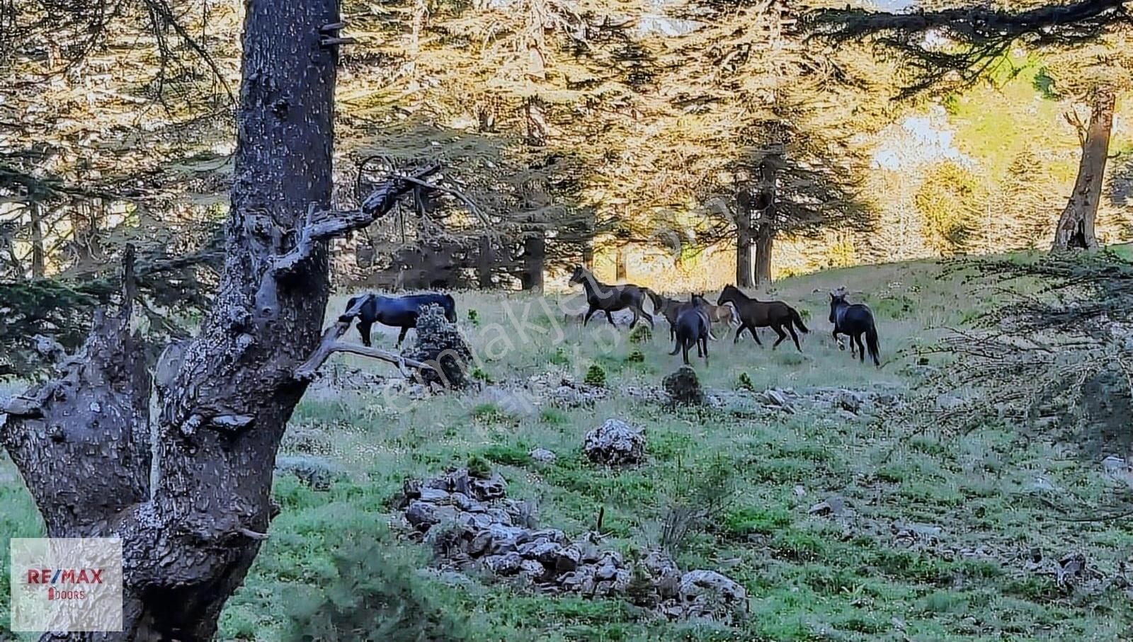 Konyaaltı Yarbaşçandır Satılık Villa İmarlı KONYAALTI YARBAŞÇANDIR KÖKEZDE SATILIK VİLLA PARSELİ