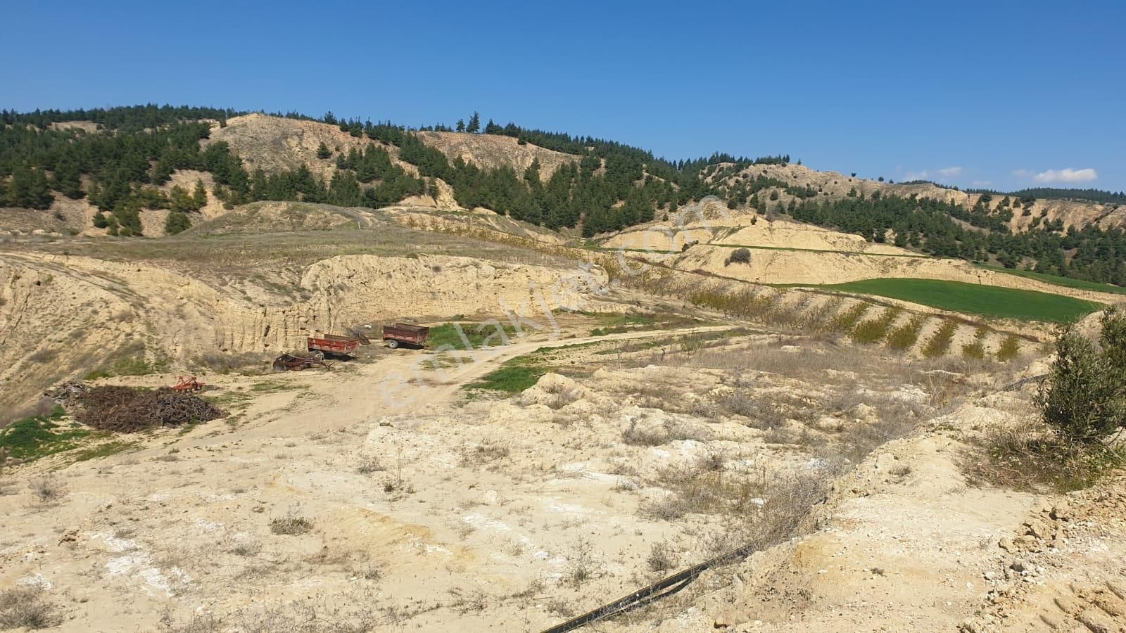 Pamukkale Kocadere Satılık Tarla  DEMRE EMLAKTAN DENİZLİ PAMUKKALEDE SATILIK ARAZİ