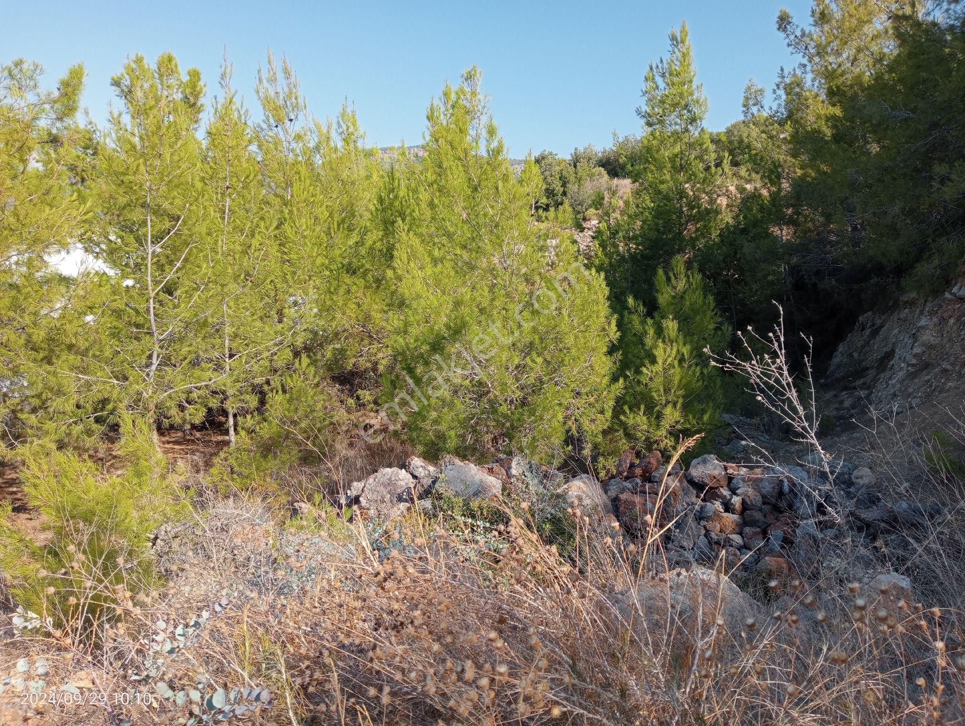 Antalya Kumluca Mavikent'te Satılık Arsa İnceoğlu Emlak - Görsel 6
