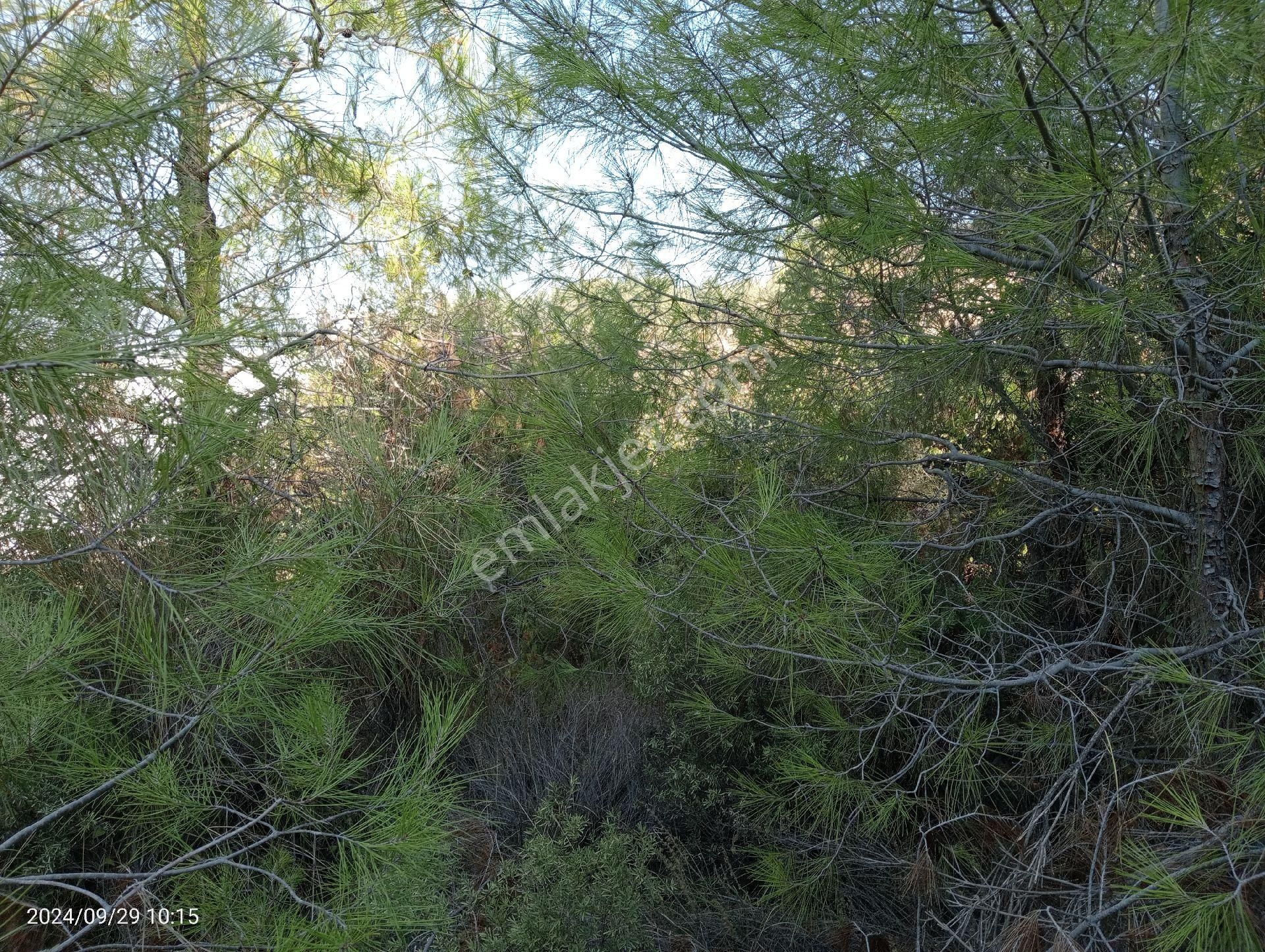 Antalya Kumluca Mavikent'te Satılık Arsa İnceoğlu Emlak - Görsel 22