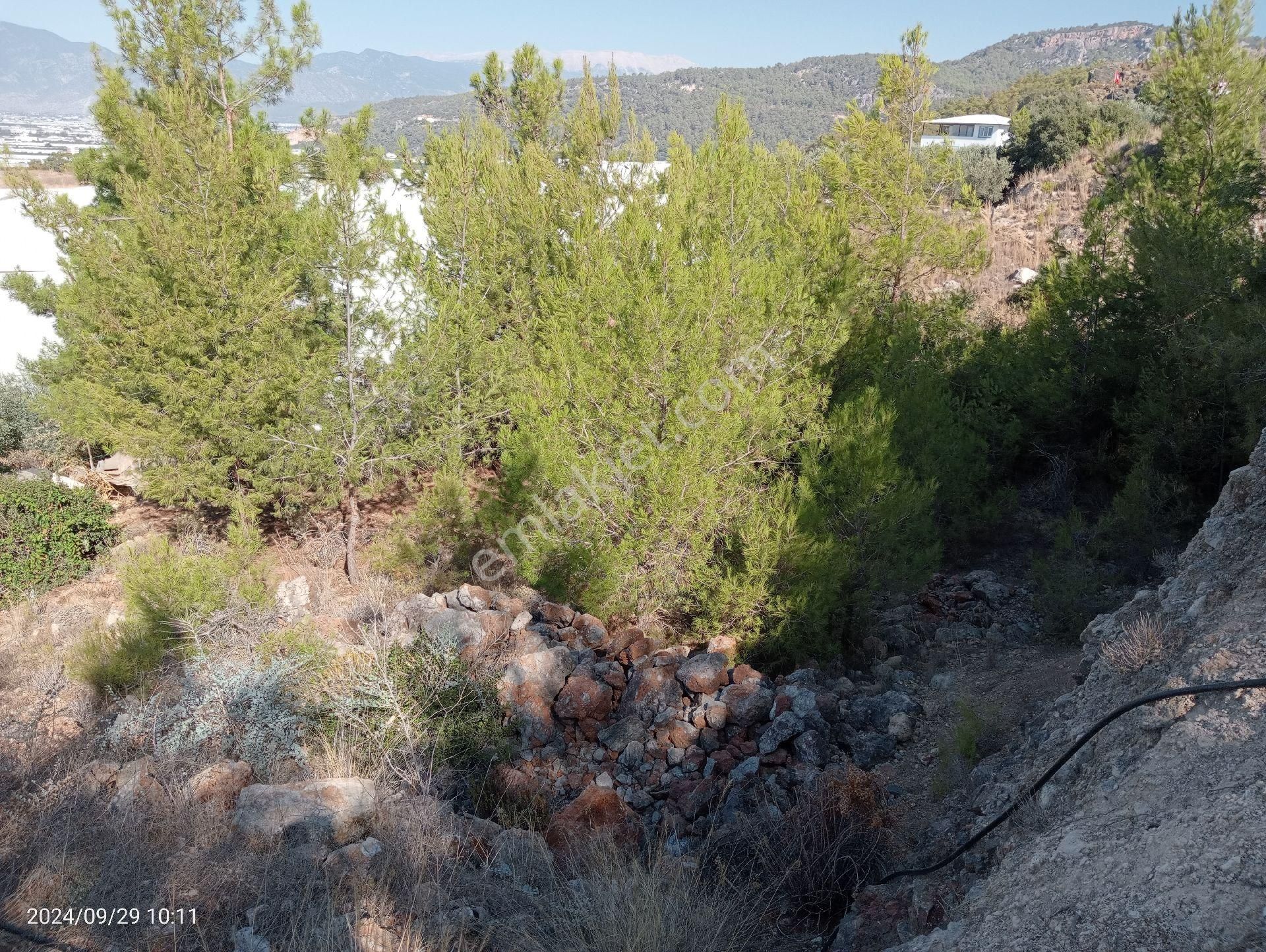 Antalya Kumluca Mavikent'te Satılık Arsa İnceoğlu Emlak - Görsel 8
