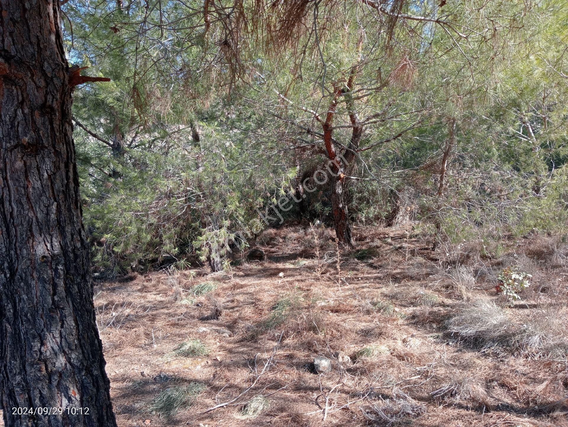 Antalya Kumluca Mavikent'te Satılık Arsa İnceoğlu Emlak - Görsel 10