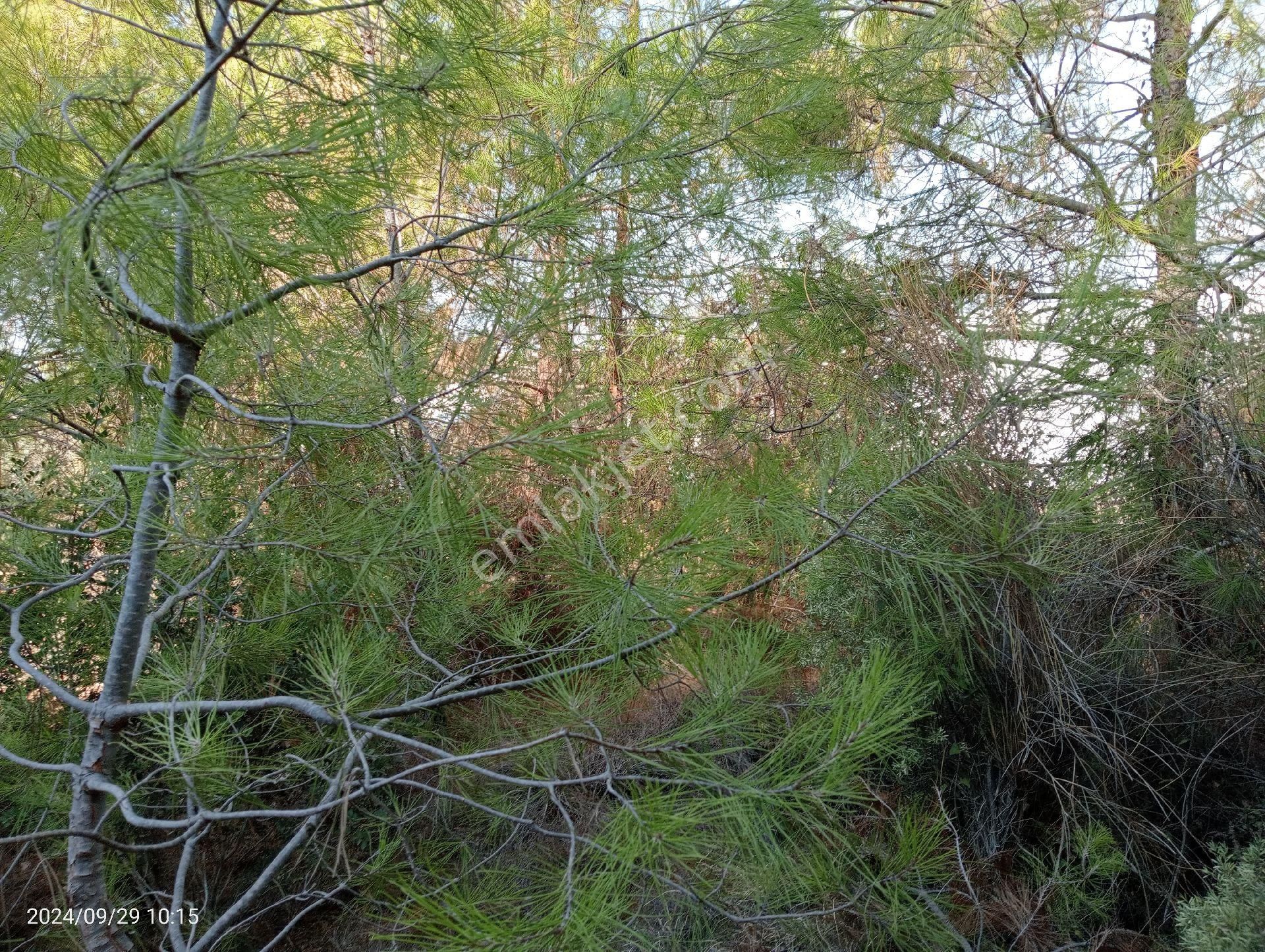 Antalya Kumluca Mavikent'te Satılık Arsa İnceoğlu Emlak - Görsel 18