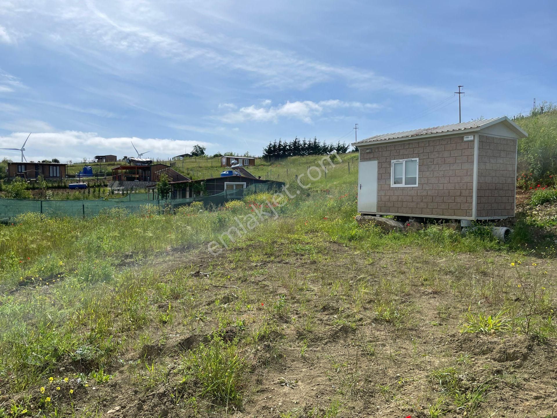 İnceğizde Caddeden 2. Parselde Şirin Konteynır Ev Mahalle İçinde - Görsel 4