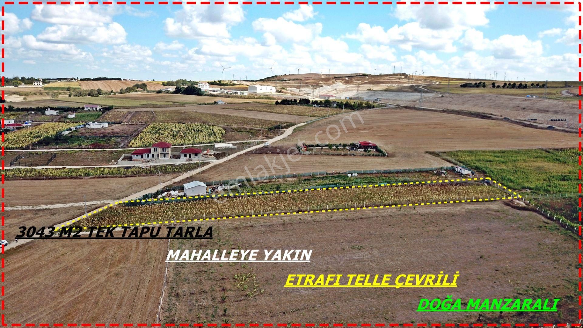 Elbasanda Etrafı Çevrili 3043 M2 Tek Tapu Tarla - Görsel 11