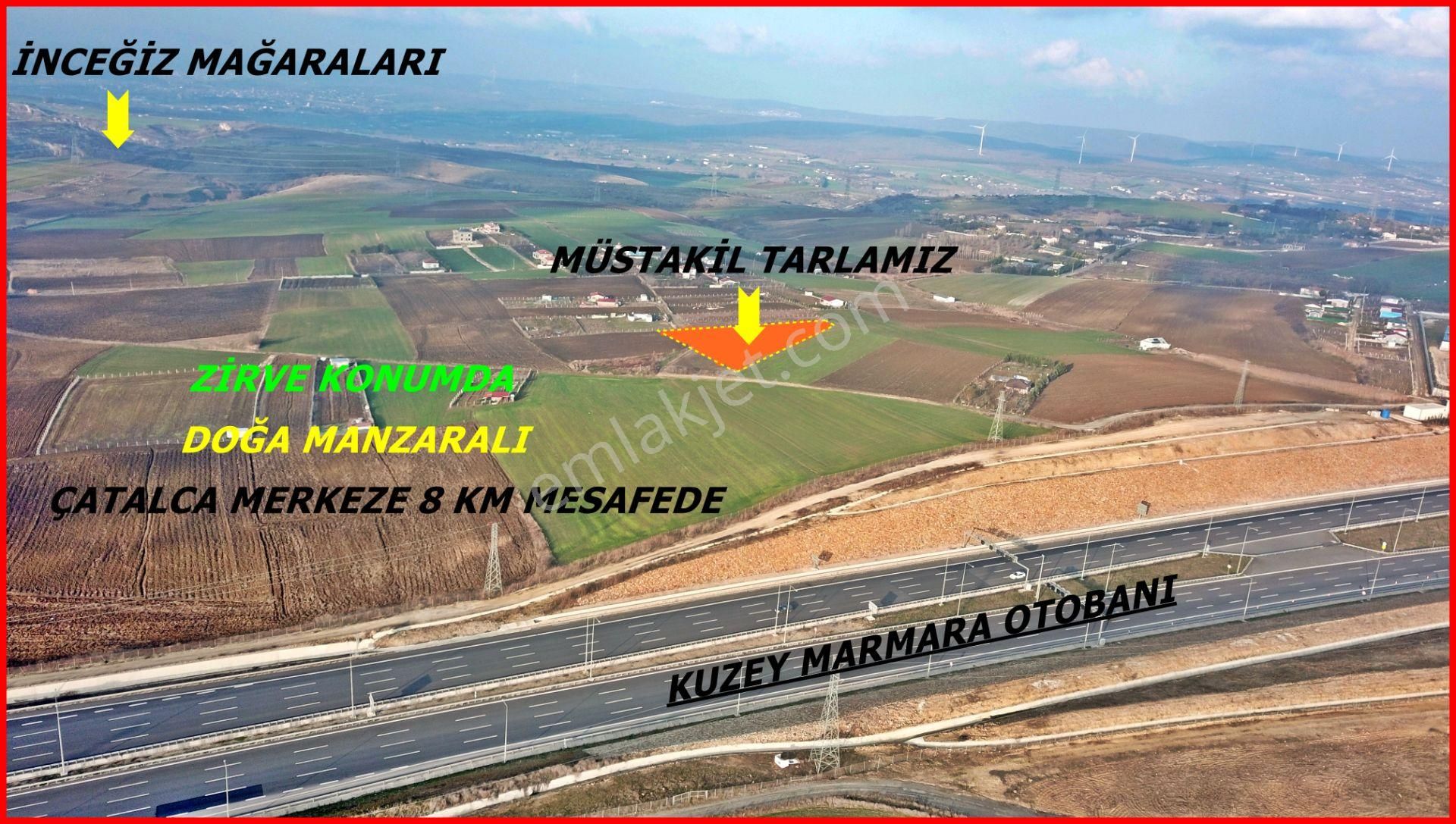 Elbasanda Zirve Konumda Doğa Mazralı 6070 M2 Tek Tapu Tarla - Görsel 3