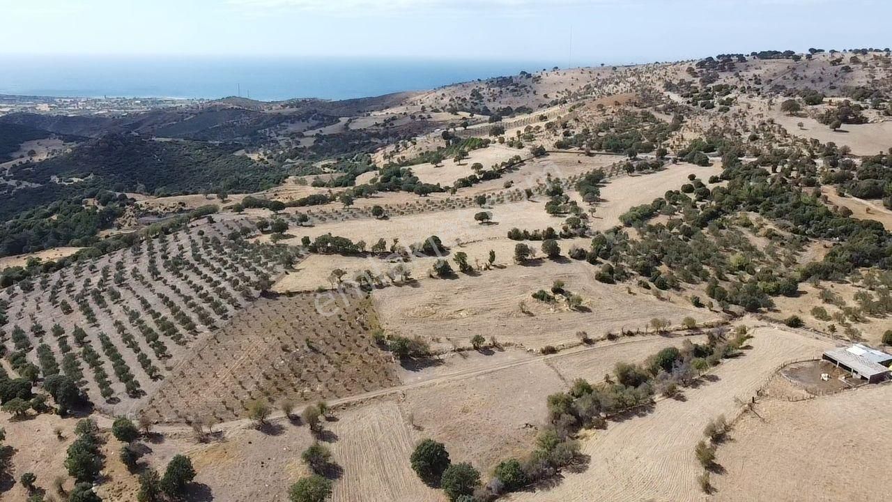 Ayvacık Kösedere Köyü (Çamoba) Satılık Tarla  ÇANAKKALE AYVACIK KÖSEDERE KÖYÜ KUPON TARLA