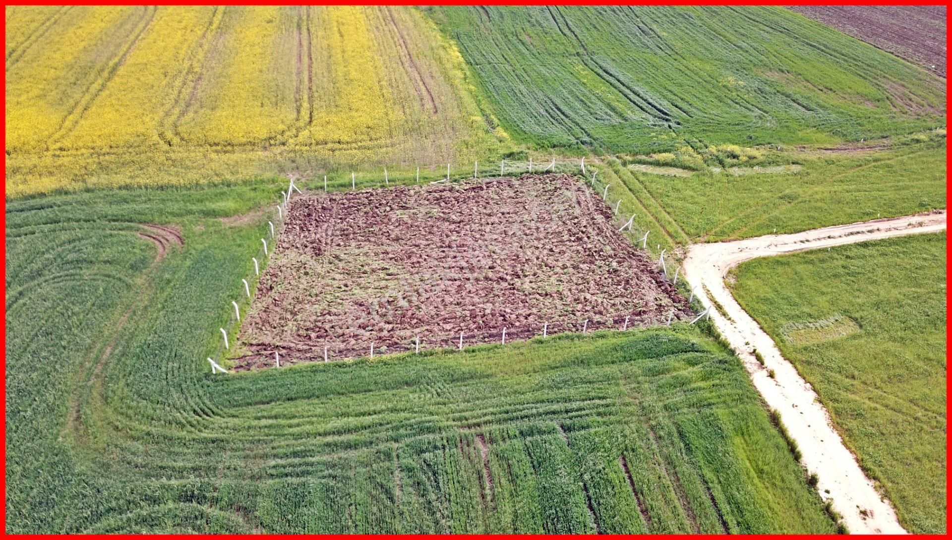 Elbasanda Beton Direk Çevrili Doğa Manzaralı 980 M2 Arsa - Görsel 10