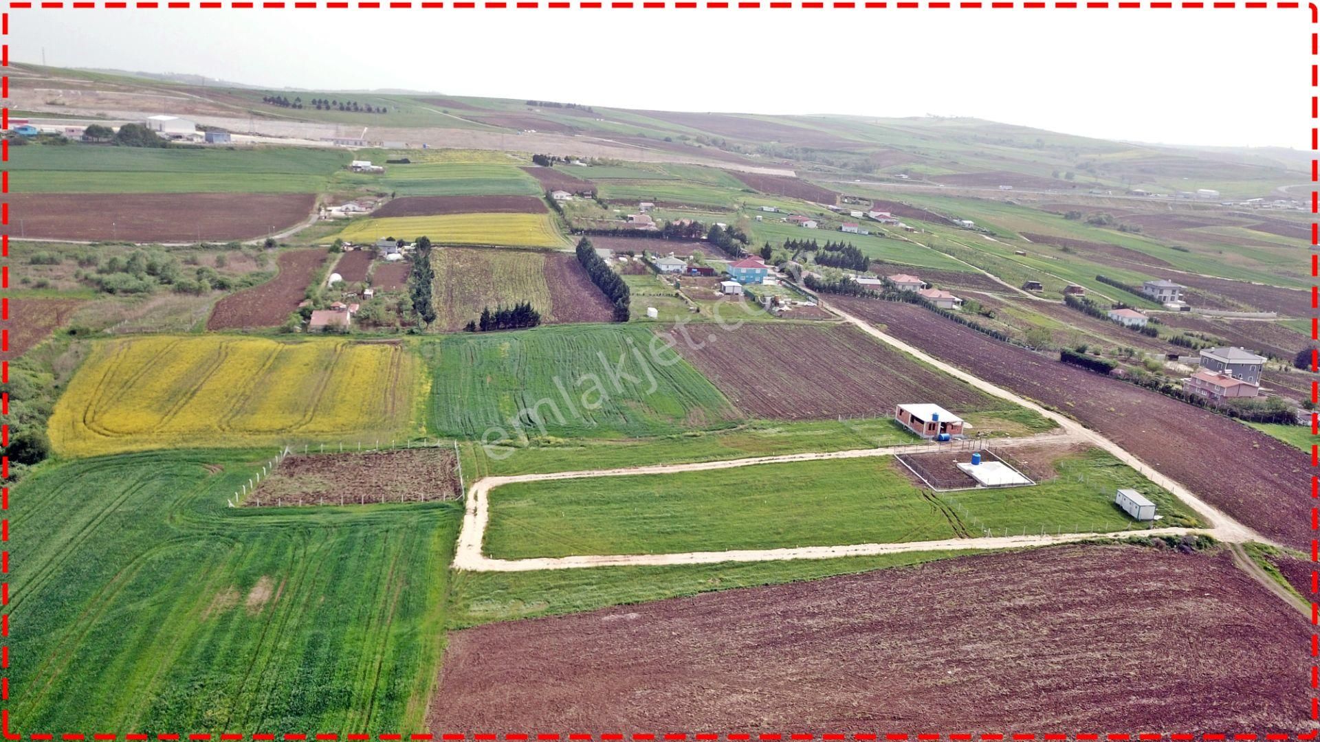 Elbasanda Beton Direk Çevrili Doğa Manzaralı 980 M2 Arsa - Görsel 9