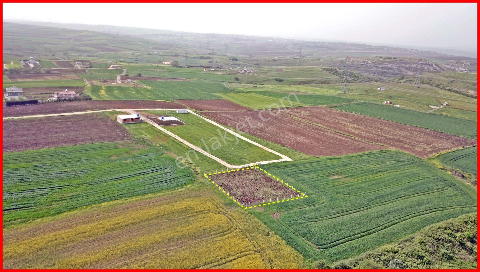 Elbasanda Beton Direk Çevrili Doğa Manzaralı 980 M2 Arsa - Görsel 4