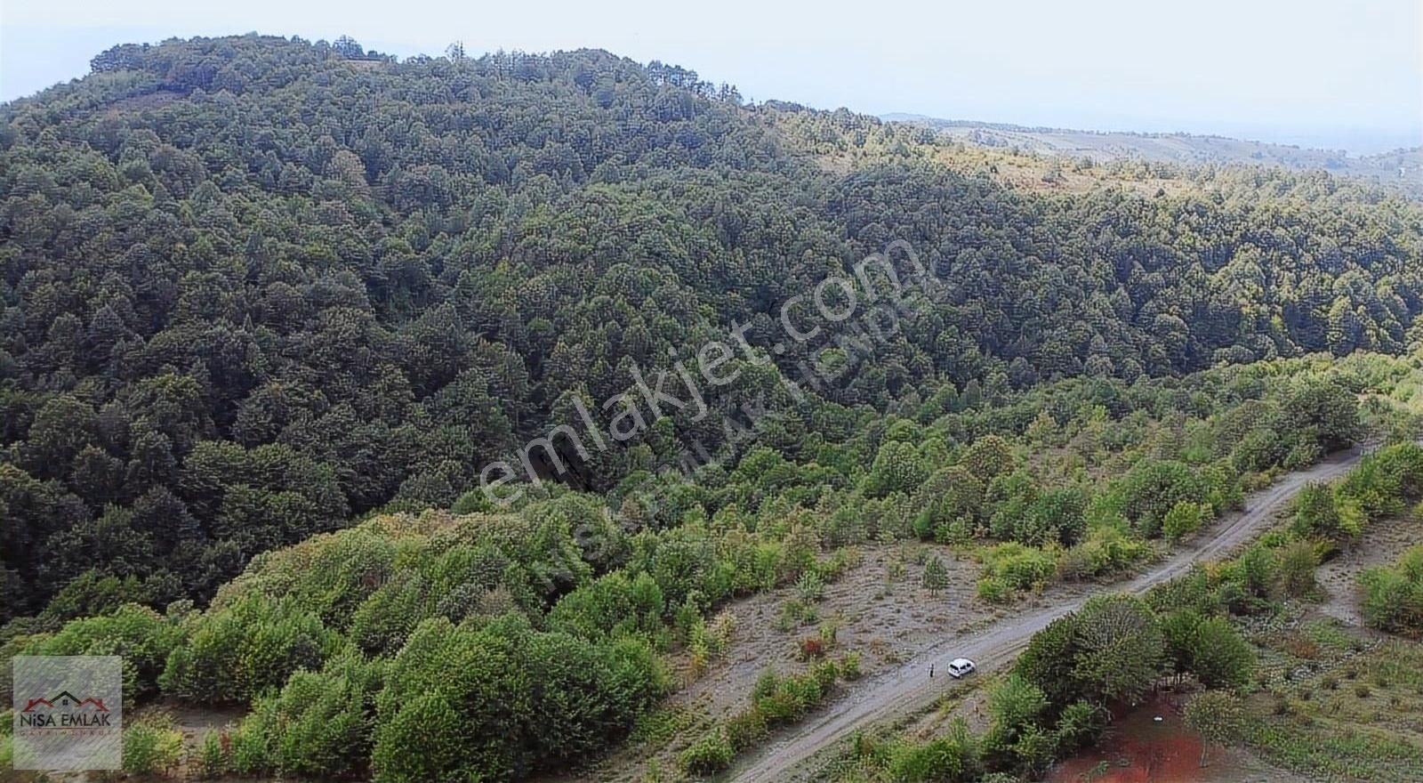 Hendek Güldibi Satılık Tarla Köy Evi Ve Çifliğe Uygun Tarla