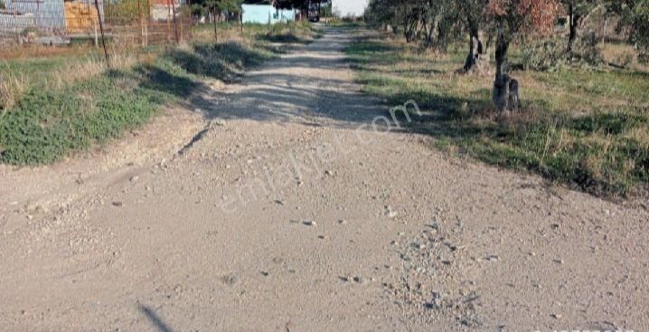 Çanakkale Ezine Üvecik Köyü 515 M2 İmarlı Tarla 2 Kat Köy Evi Olur Su Var Yol Var Elektrik Var - Görsel 4