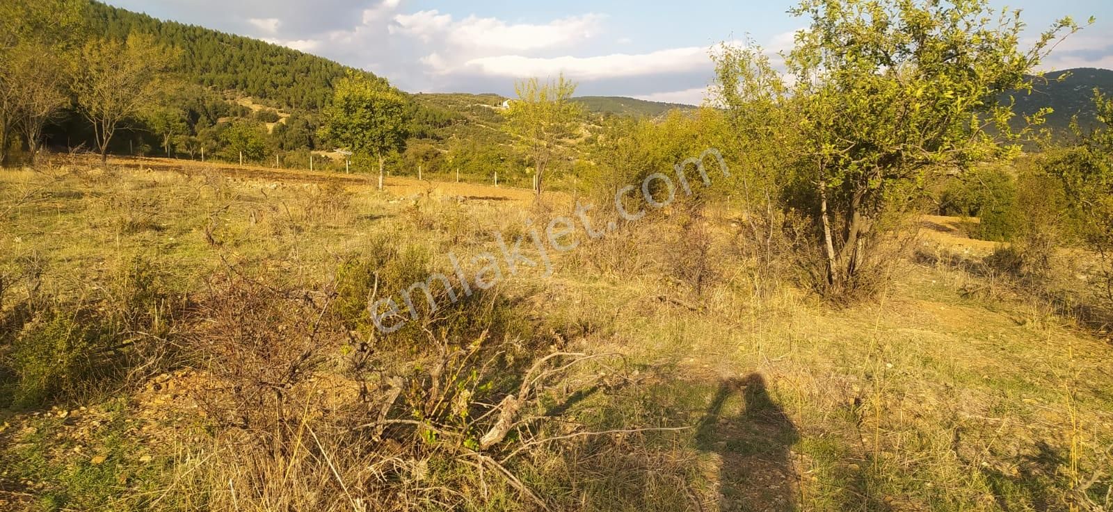 Asya Evim Gayrimenkulden Yazır Köyünde Satılık Hobi Bahçesi - Görsel 9