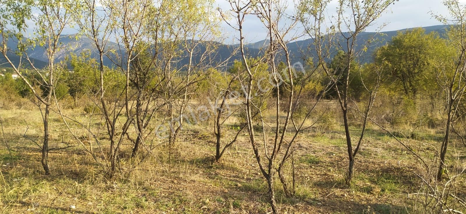 Asya Evim Gayrimenkulden Yazır Köyünde Satılık Hobi Bahçesi - Görsel 8
