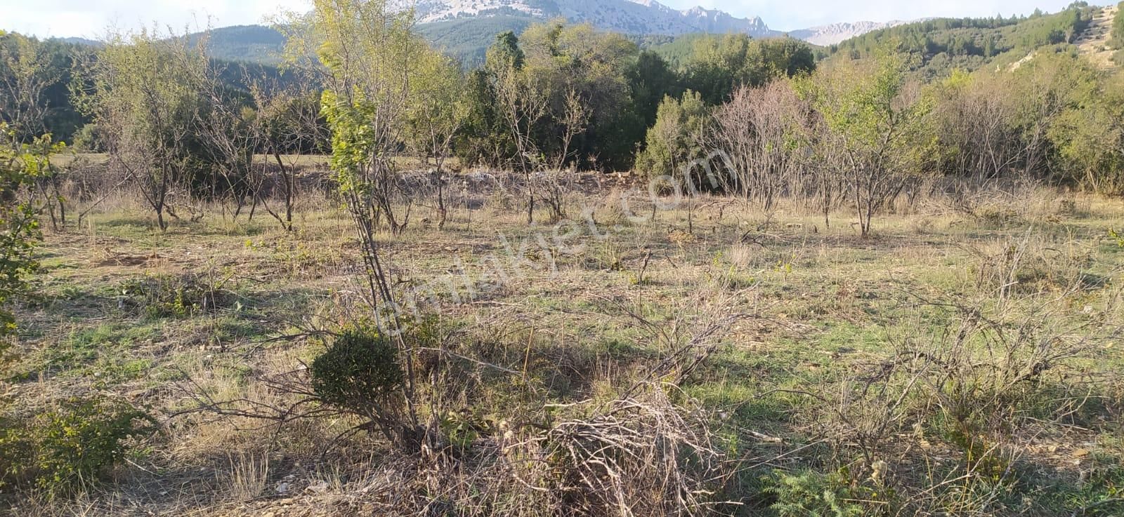 Asya Evim Gayrimenkulden Yazır Köyünde Satılık Hobi Bahçesi - Görsel 14