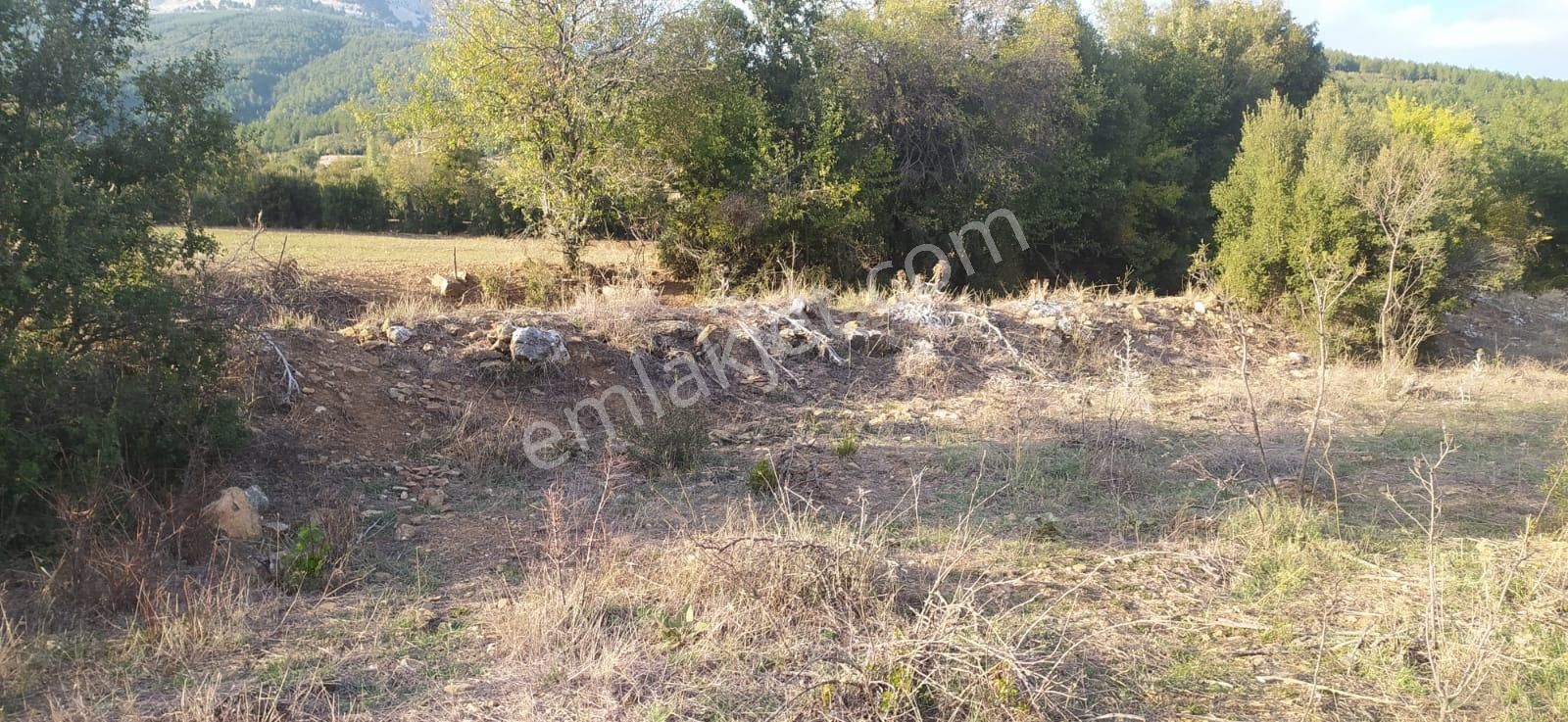 Asya Evim Gayrimenkulden Yazır Köyünde Satılık Hobi Bahçesi - Görsel 19