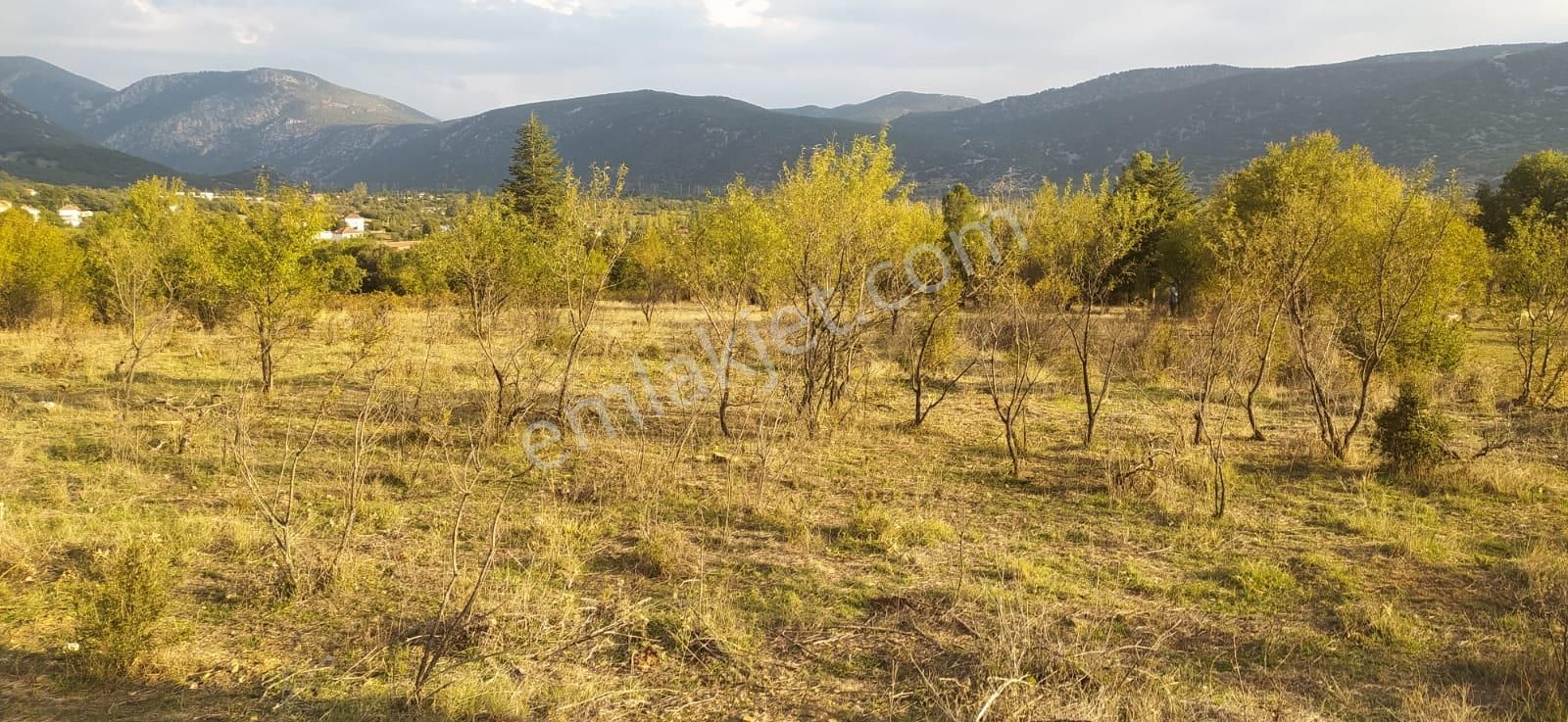 Asya Evim Gayrimenkulden Yazır Köyünde Satılık Hobi Bahçesi - Görsel 16
