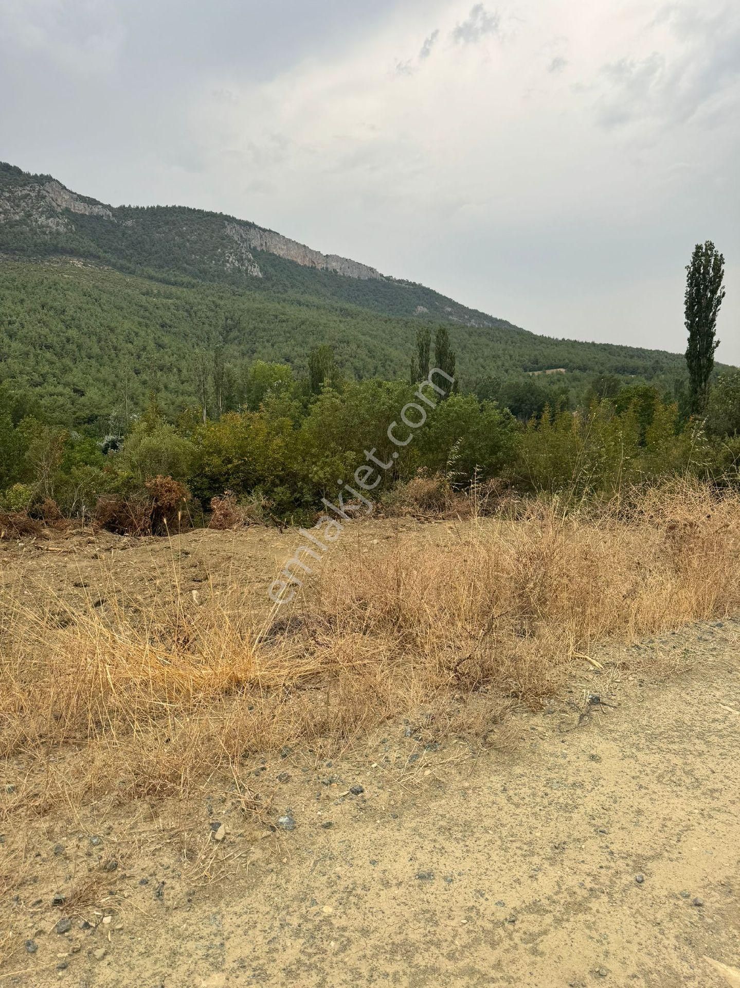 Geyve Karacaören Satılık Tarla  SAKARYA  GEYVE  KARACA ÖRENDE SATILIK TARLA