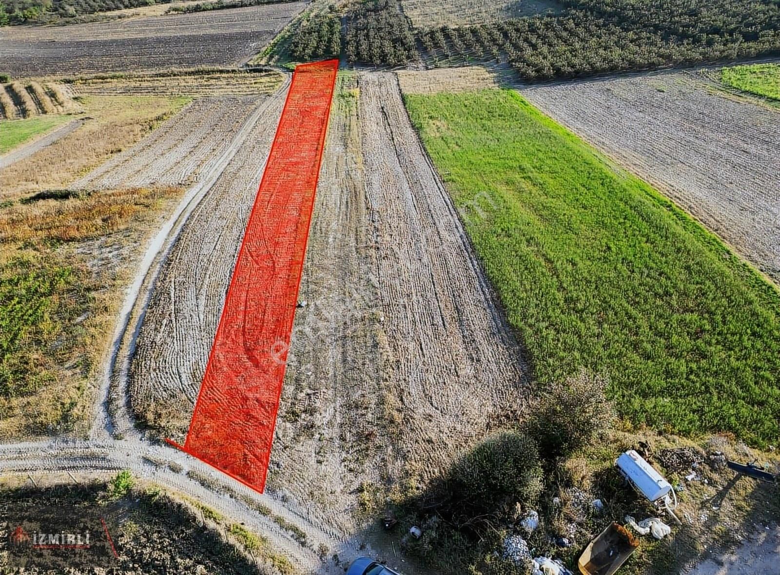 Söğütlü Sıraköy Satılık Bağ & Bahçe Söğütlü Sıraköyde Köy İçinde 1200m2 Ev Yapmaya Uygun Arazi