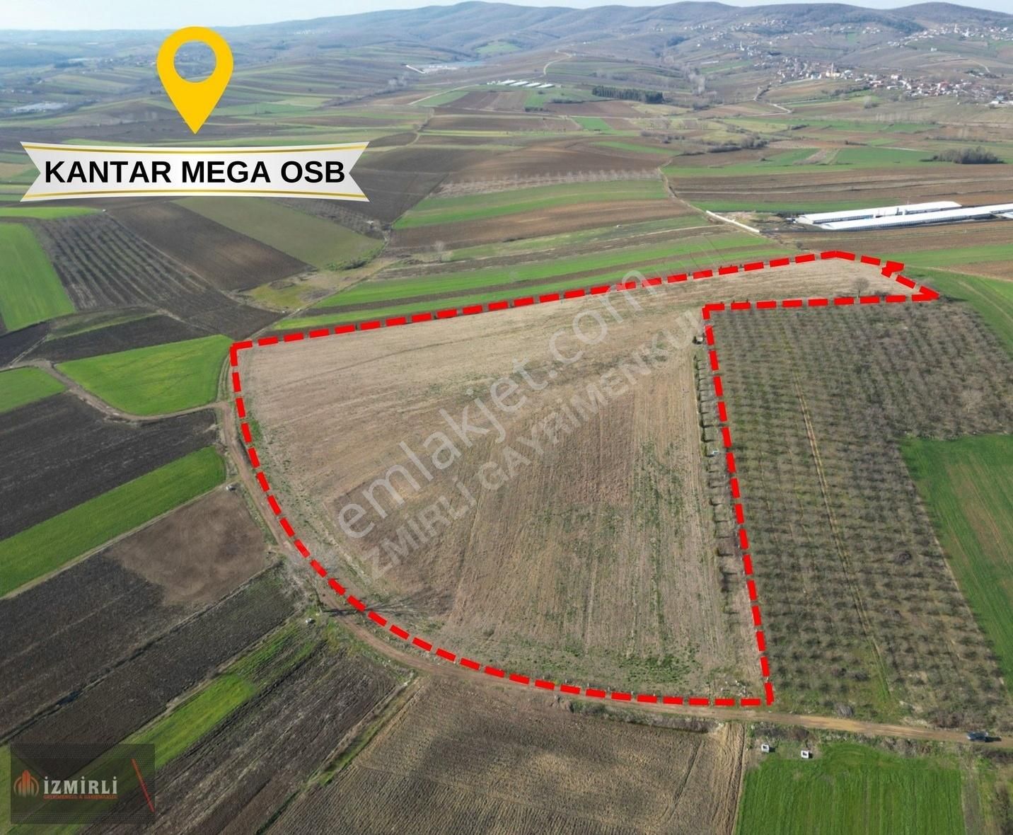 Söğütlü Fındıklı Satılık Tarla Söğütlü Fındıklı Köyünde 61203m2 Mega Osb Yakını Yatırım Fırsatı