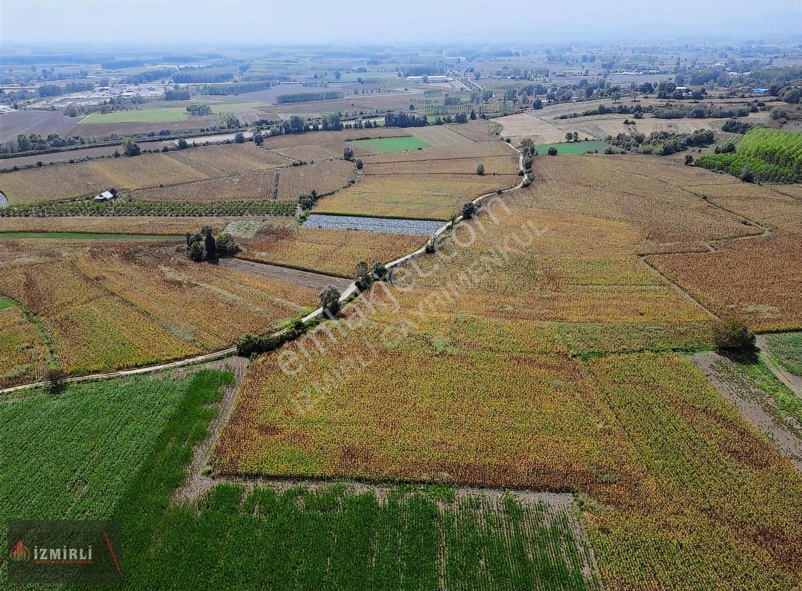 Erenler Küçükesence Satılık Tarla KÜÇÜKESENCEDE YOLU OLAN 4650 M2 YATIRIMLIK ARAZİ