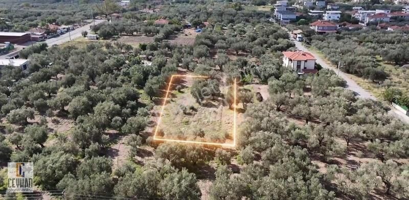 Akhisar Ulu Camii Satılık Konut İmarlı Ulucami Mahallesi Satılık Arsa