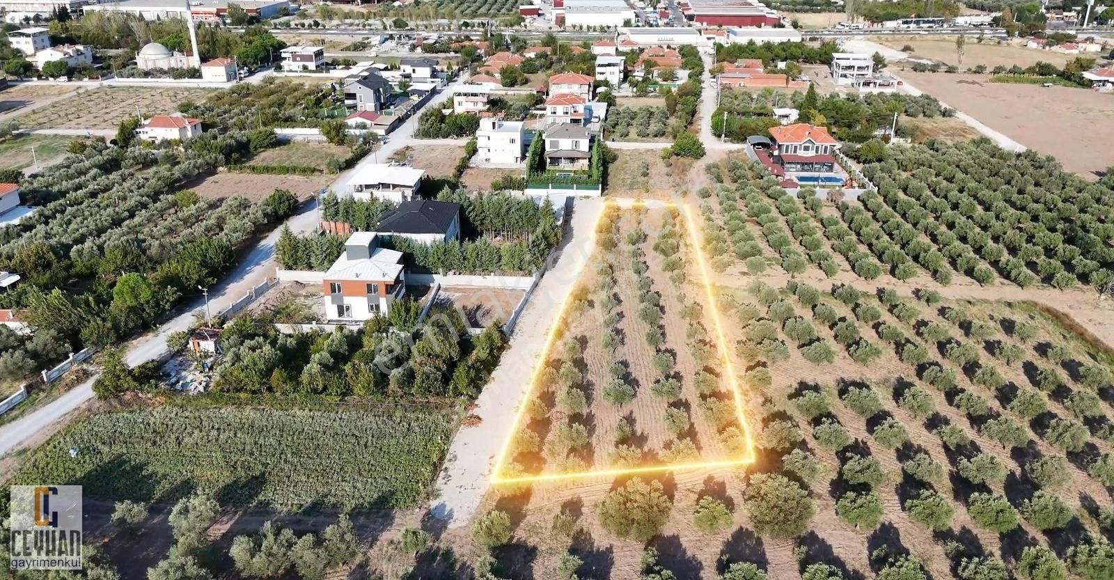 Akhisar Ulu Camii Satılık Tarla Ulucami Mahallesinde Satılık Tarla