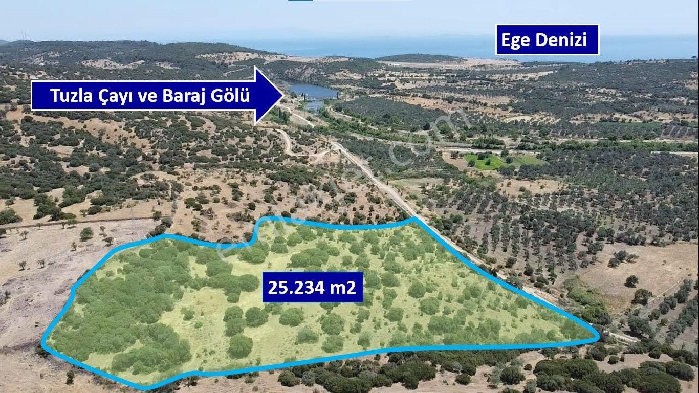 Ayvacık Behram Köyü Satılık Tarla  ÇANAKKALE AYVACIK BEHRAMKALE DE 25.000 m2 YATIRIMLIK TARLA