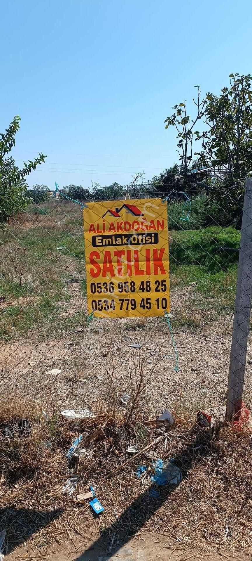 Bayındır Pınarlı Satılık Tarla ALİ AKDOĞAN EMLAK OFİSİNDEN SATILIK TARLA 