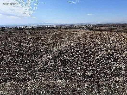 Bala Çiğdemli Satılık Tarla  SAHİBİNDEN SATILIK TARLA