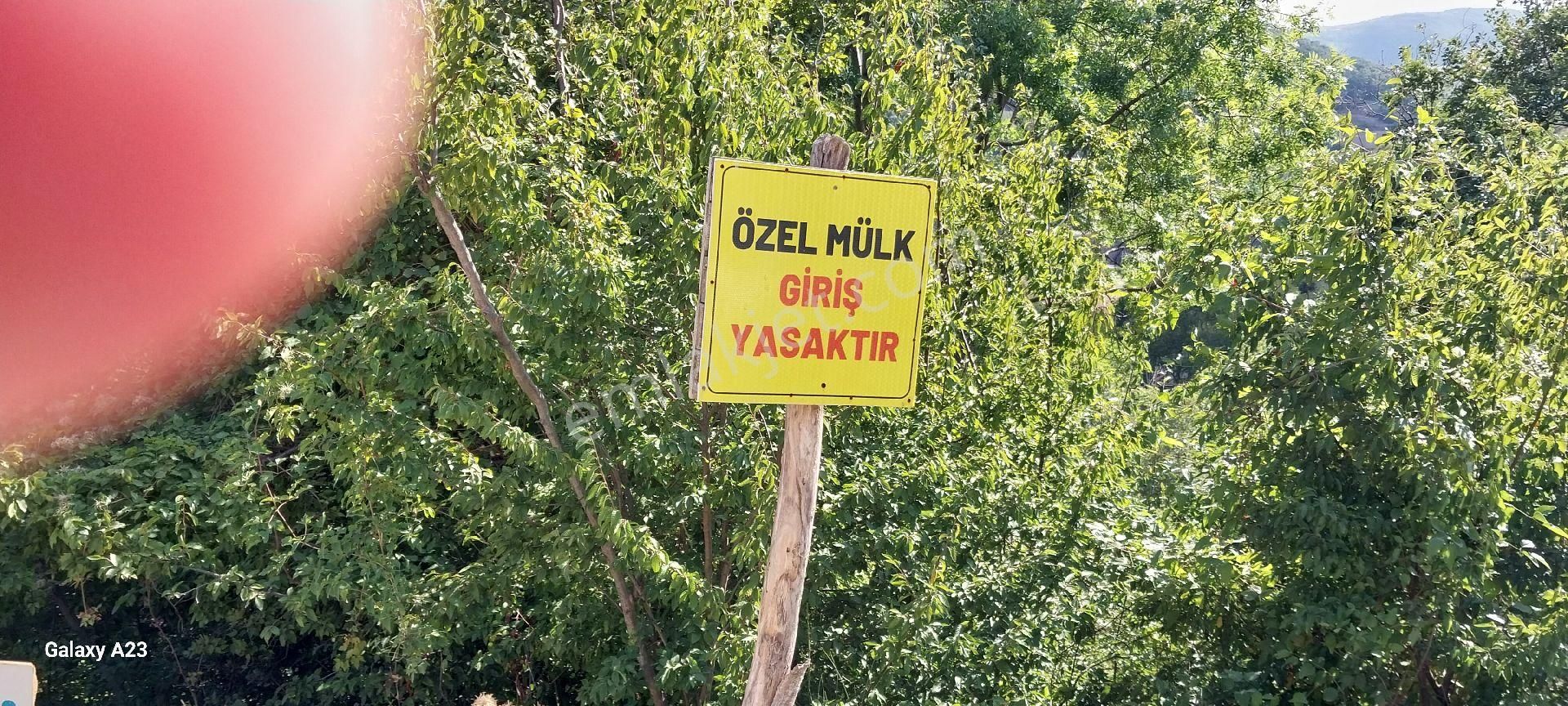 İlkadım Aşağıavdan Satılık Tarla Acil İhtiyaçtan Satılık Arazi