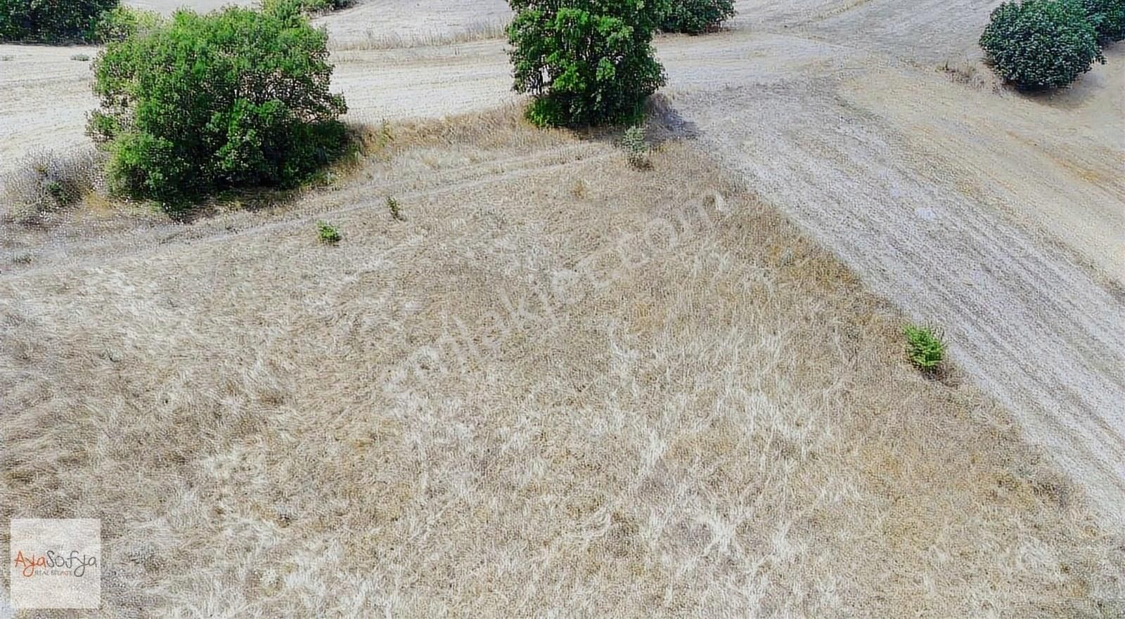 Mustafakemalpaşa Lütfiye Satılık Tarla Kemalpaşa Lütfiye De Satılık 2700m2 Tarla