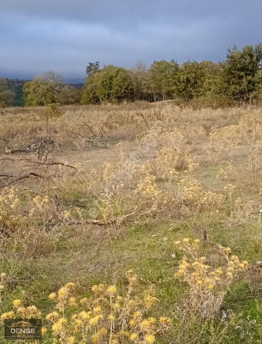 Susurluk Gürece Satılık Tarla Denge Gayrimenkul Balıkesir Susurluk- Gürece'de Yatırımlık Arazi