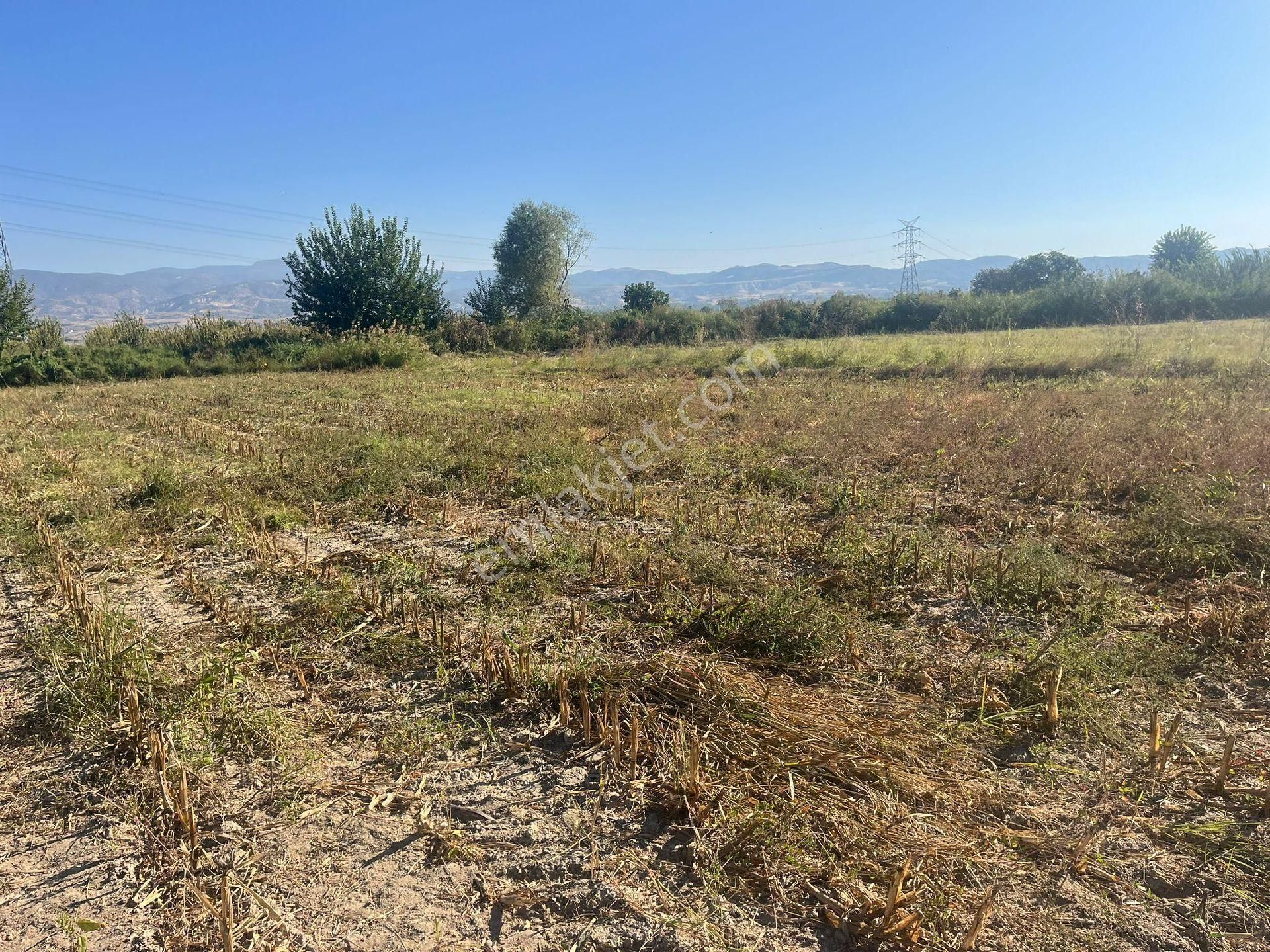 Pamukkale Kocadere Satılık Tarla Kocaderede Verilmli Sulak Arazi